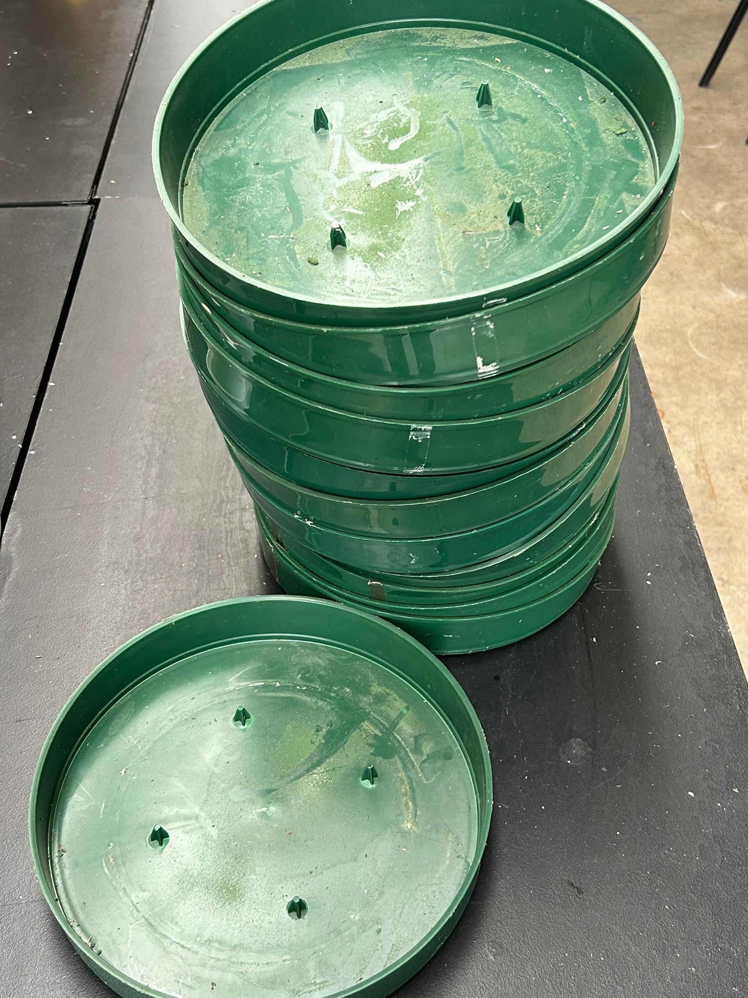 Ciotola cilindrica portaspugna – Ø30 cm h 5 cm – usato