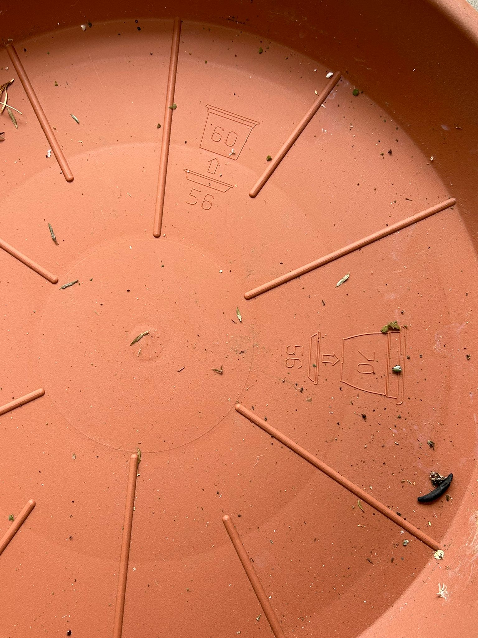 Set sottovasi in plastica color terracotta – assortiti – usato