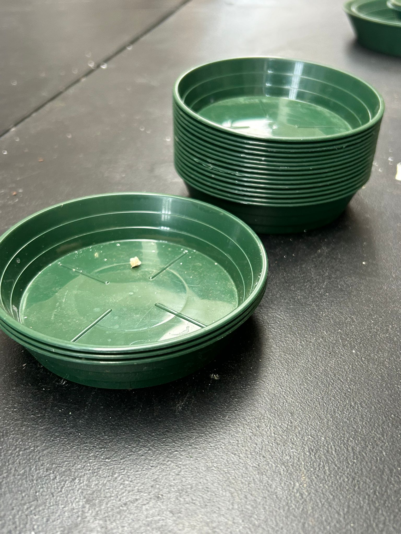 Ciotola portaspugna tonda in plastica rigida verde Ø12 cm - usato