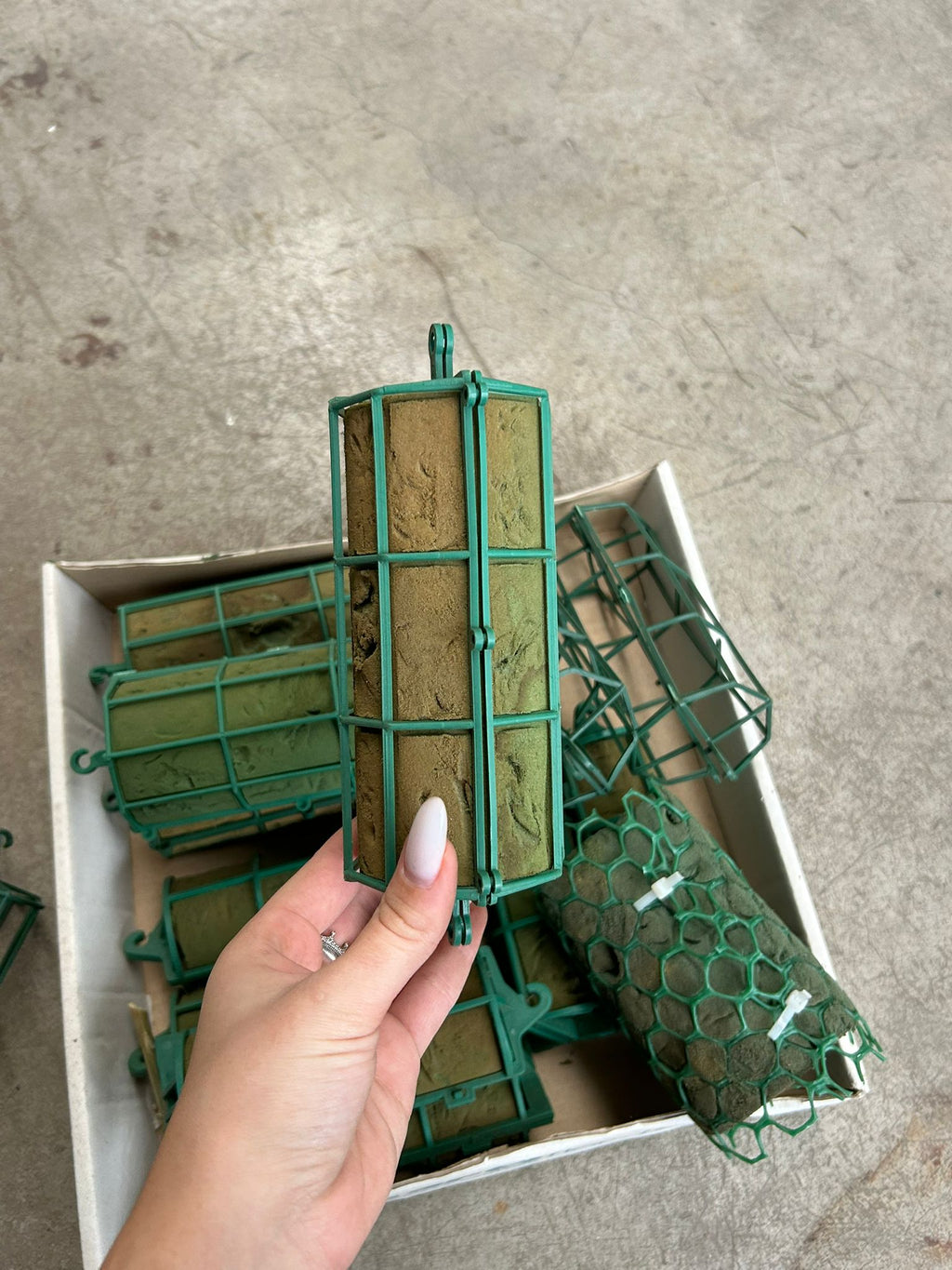 Gabbia per fiori freschi – usato