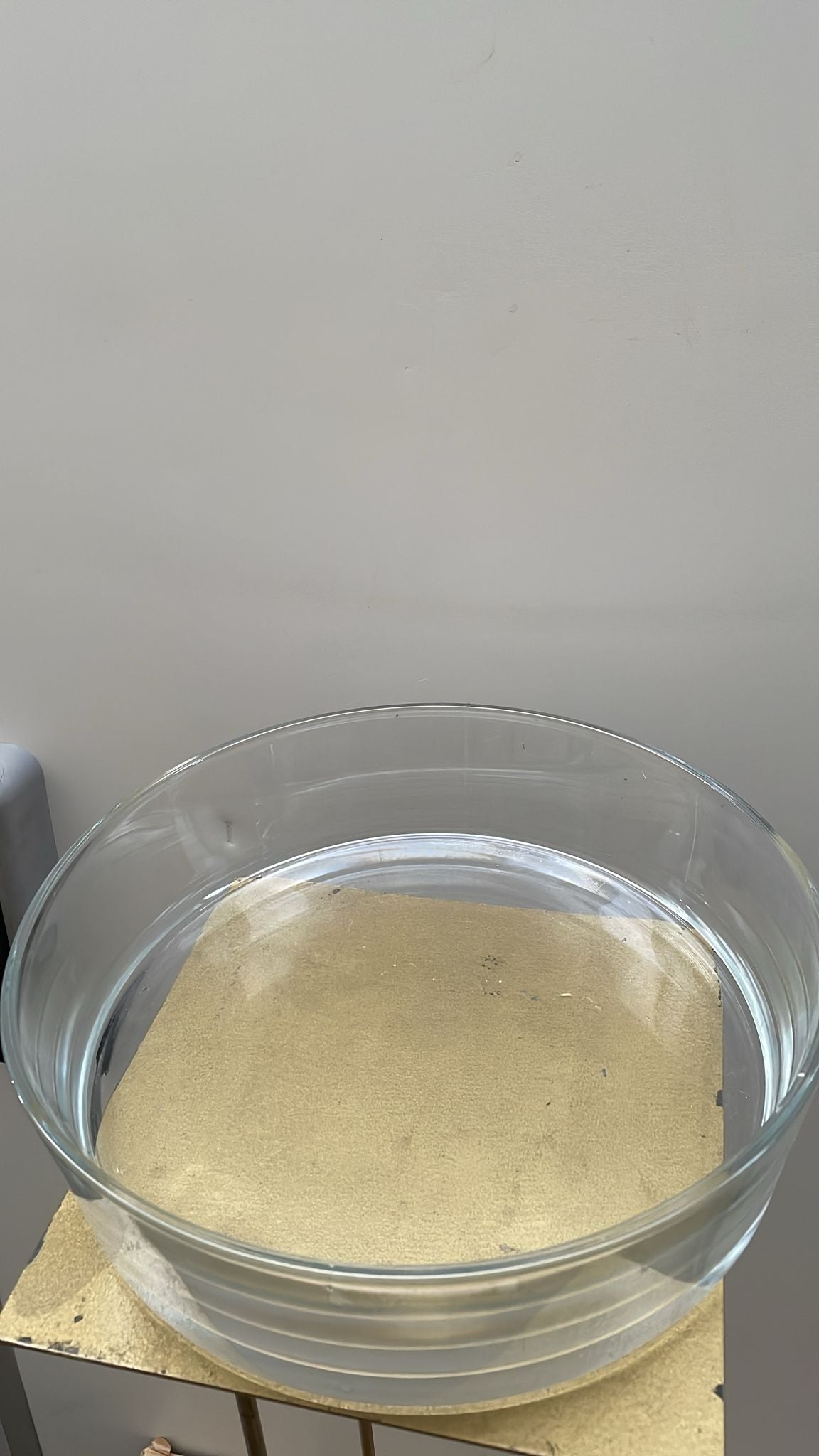 Coppa cilindrica in vetro trasparente – D32 cm – usato